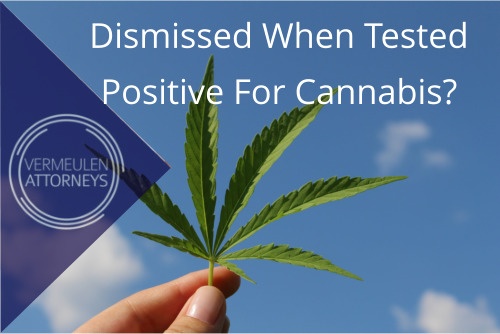 Dismissed When Tested Positive For Cannabis